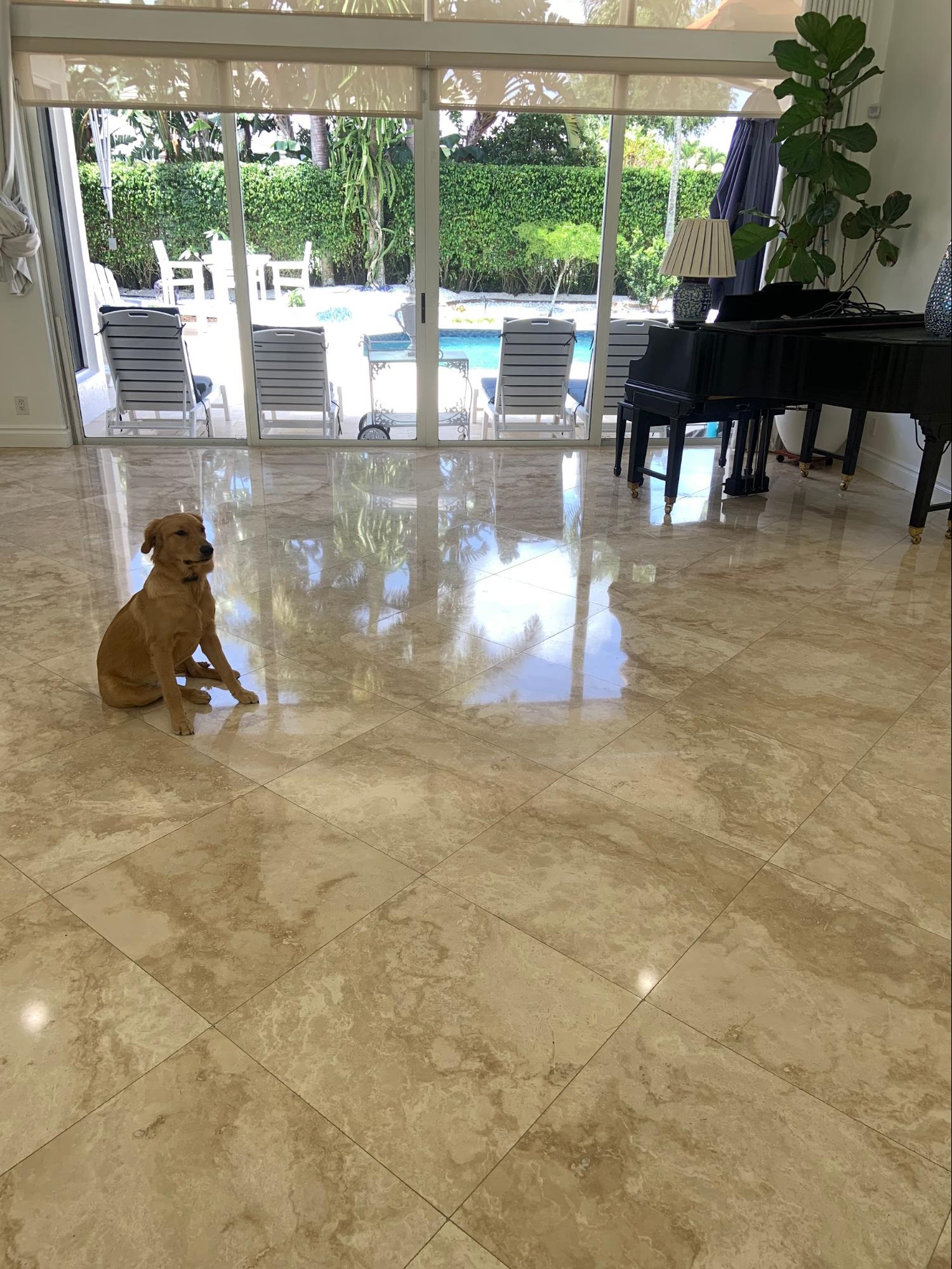 Pool deck restoration